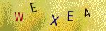 The code.
